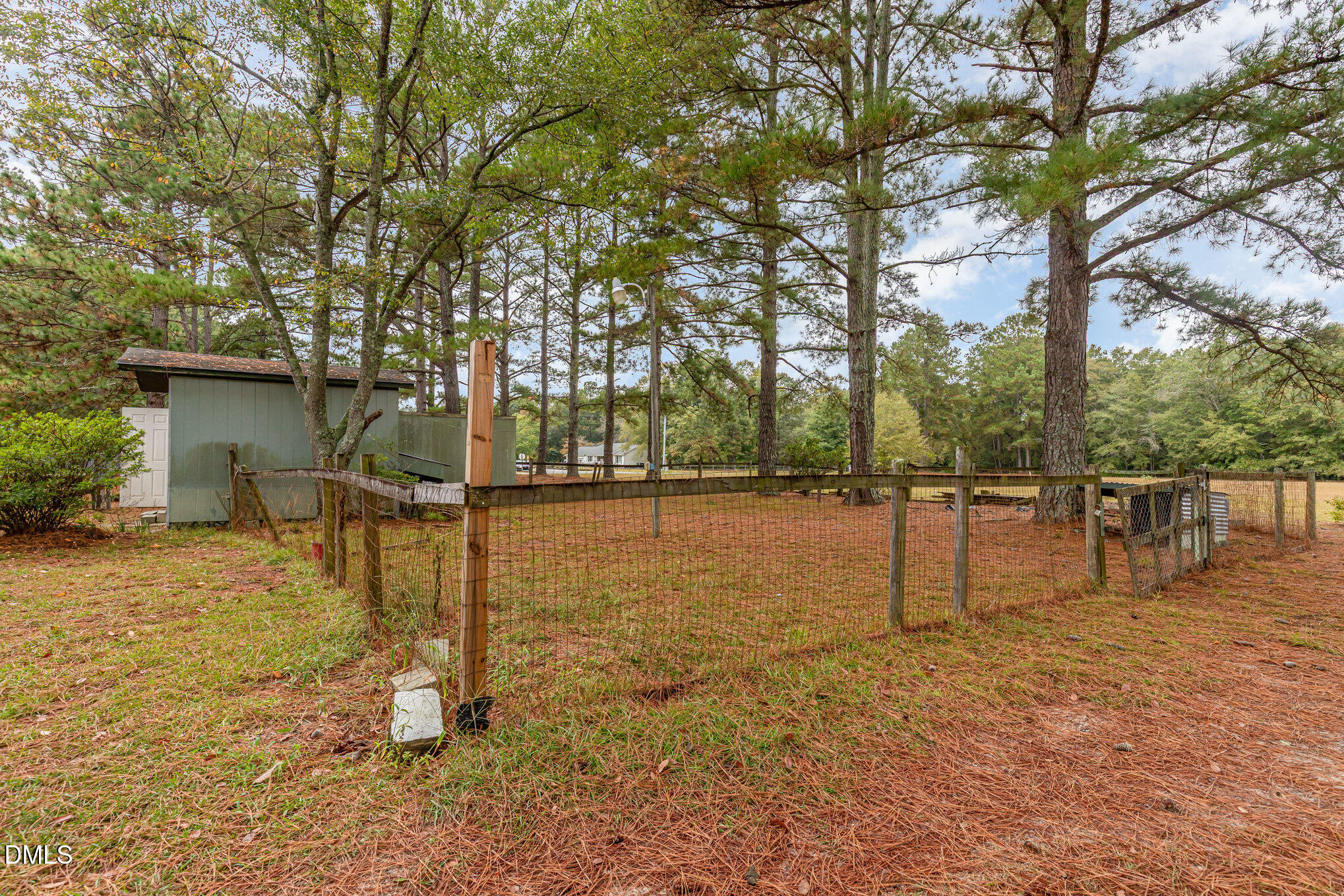 1969 Bagley Road Kenly, NC 27542 - Photo 9 of 23 a backyard of a house with lots of green space