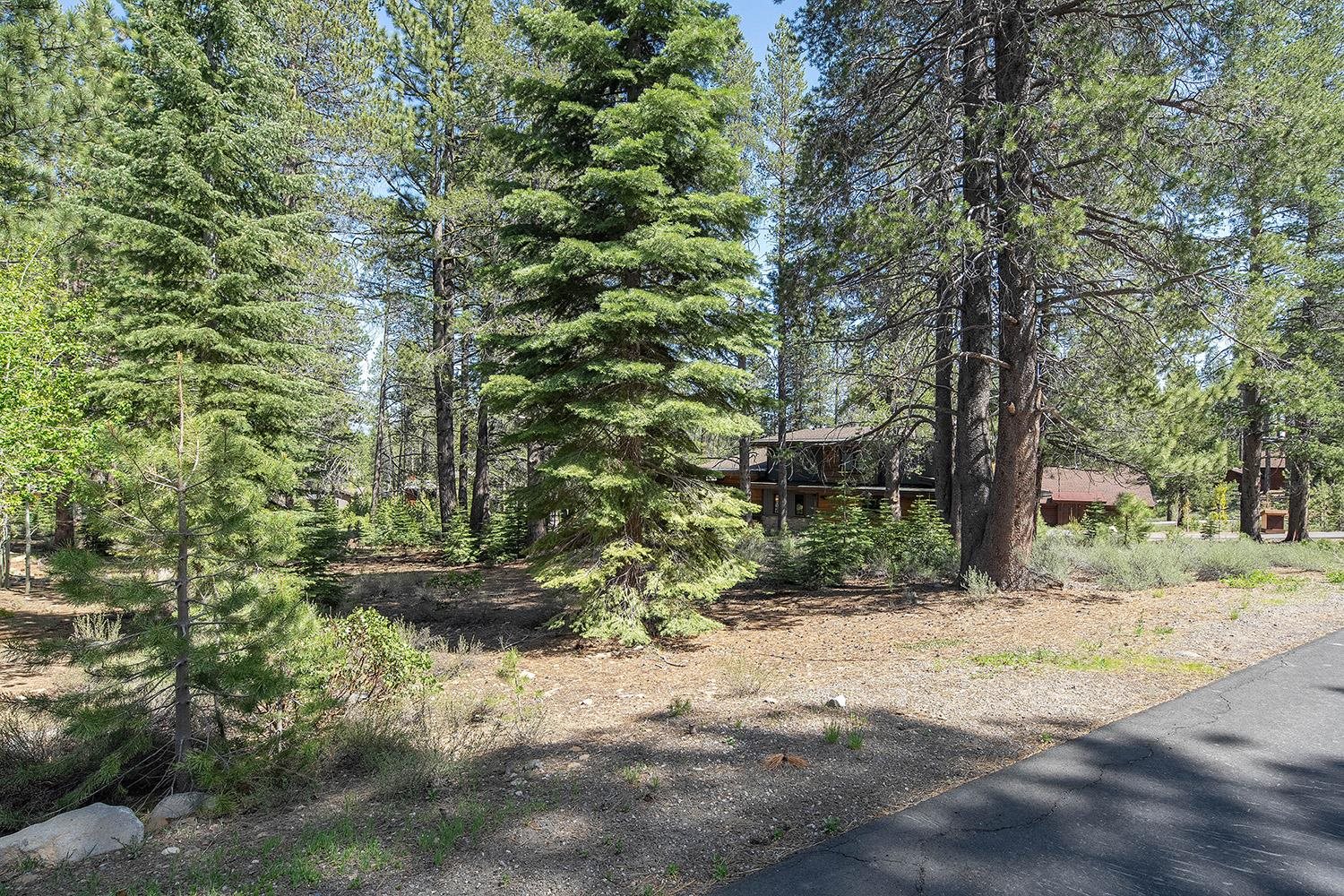 11841 Bottcher Loop Truckee, CA 96161 - Photo 13 of 17 a view of a yard with plants and trees