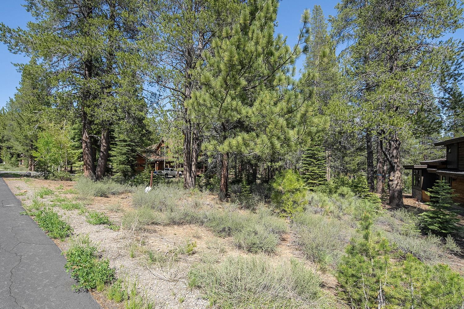 11841 Bottcher Loop Truckee, CA 96161 - Photo 14 of 17 a view of a forest with trees in the background