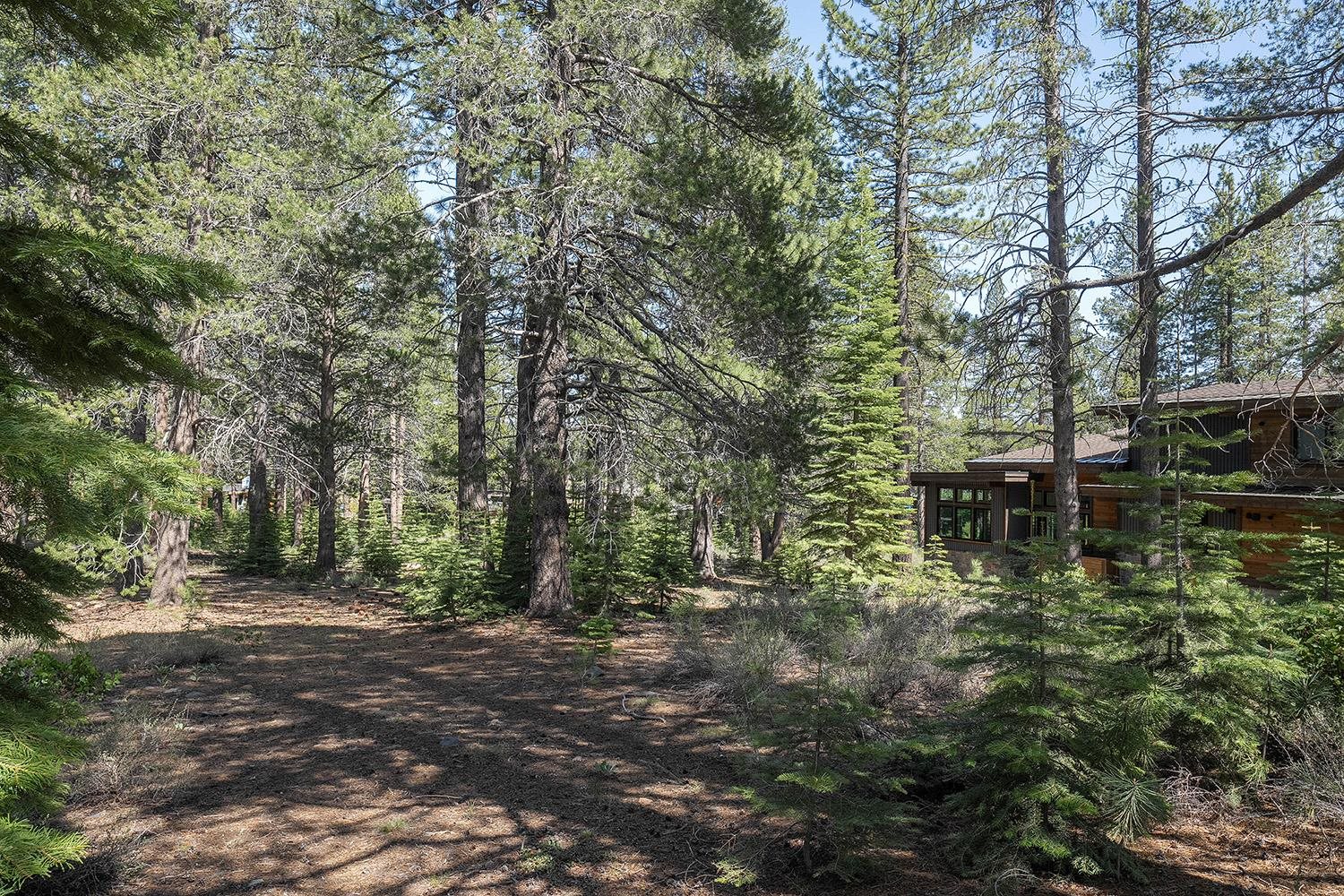 11841 Bottcher Loop Truckee, CA 96161 - Photo 15 of 17 a backyard of a house with table and chairs
