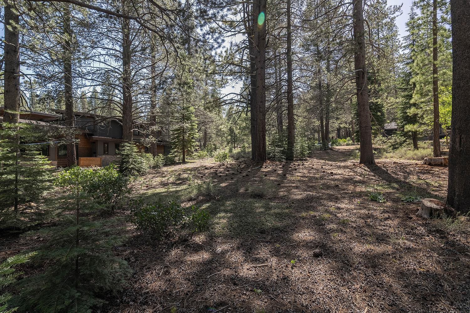 11841 Bottcher Loop Truckee, CA 96161 - Photo 16 of 17 a view of a forest with trees