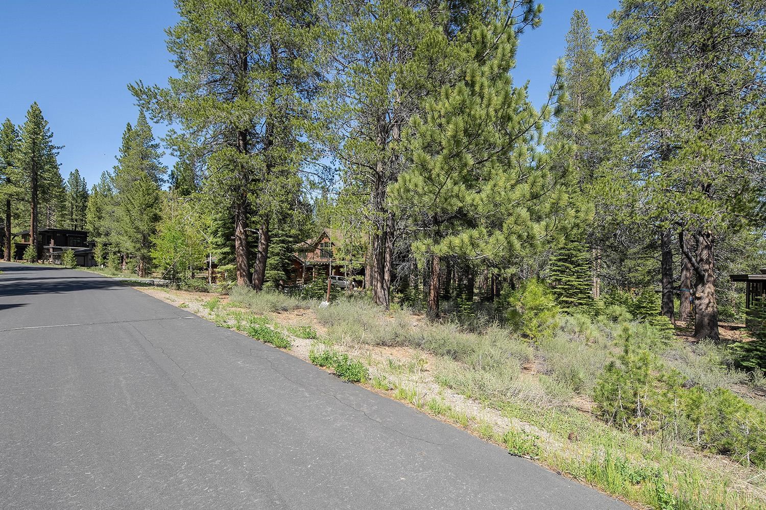 11841 Bottcher Loop Truckee, CA 96161 - Photo 5 of 17 a view of a yard with plants and trees