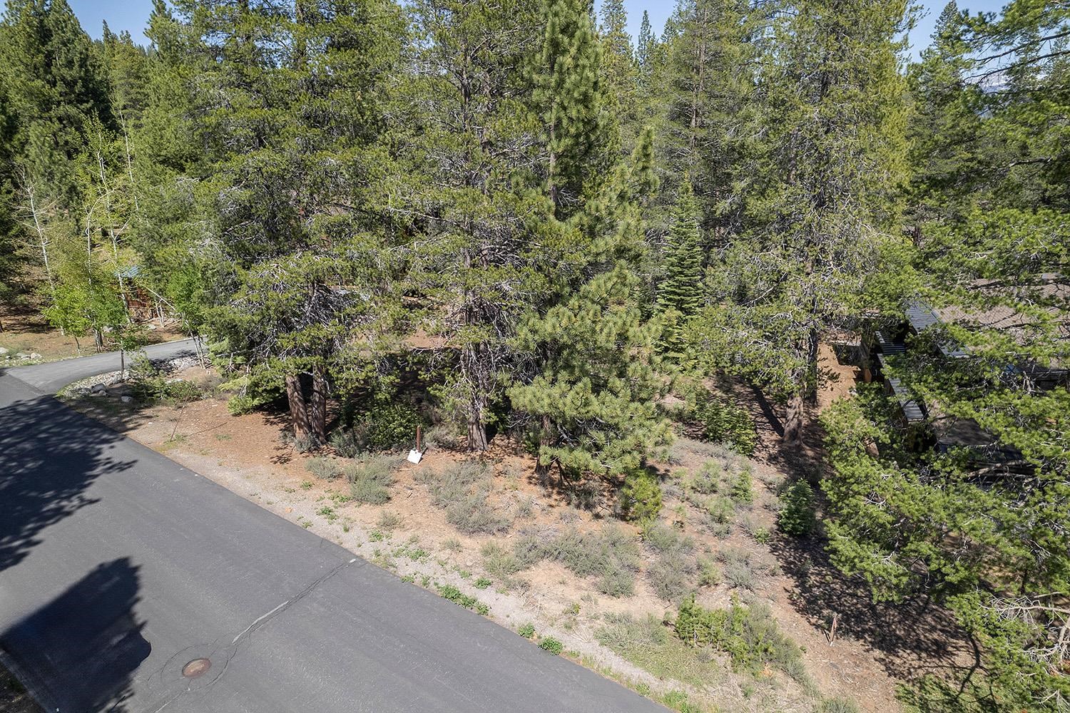 11841 Bottcher Loop Truckee, CA 96161 - Photo 6 of 17 a view of a yard with a tree