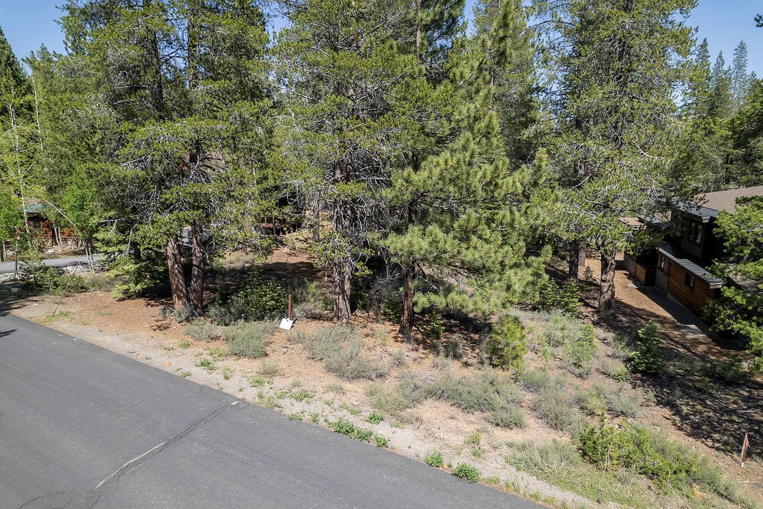 11841 Bottcher Loop Truckee, CA 96161 - Photo 7 of 17 a view of a yard with plants and trees