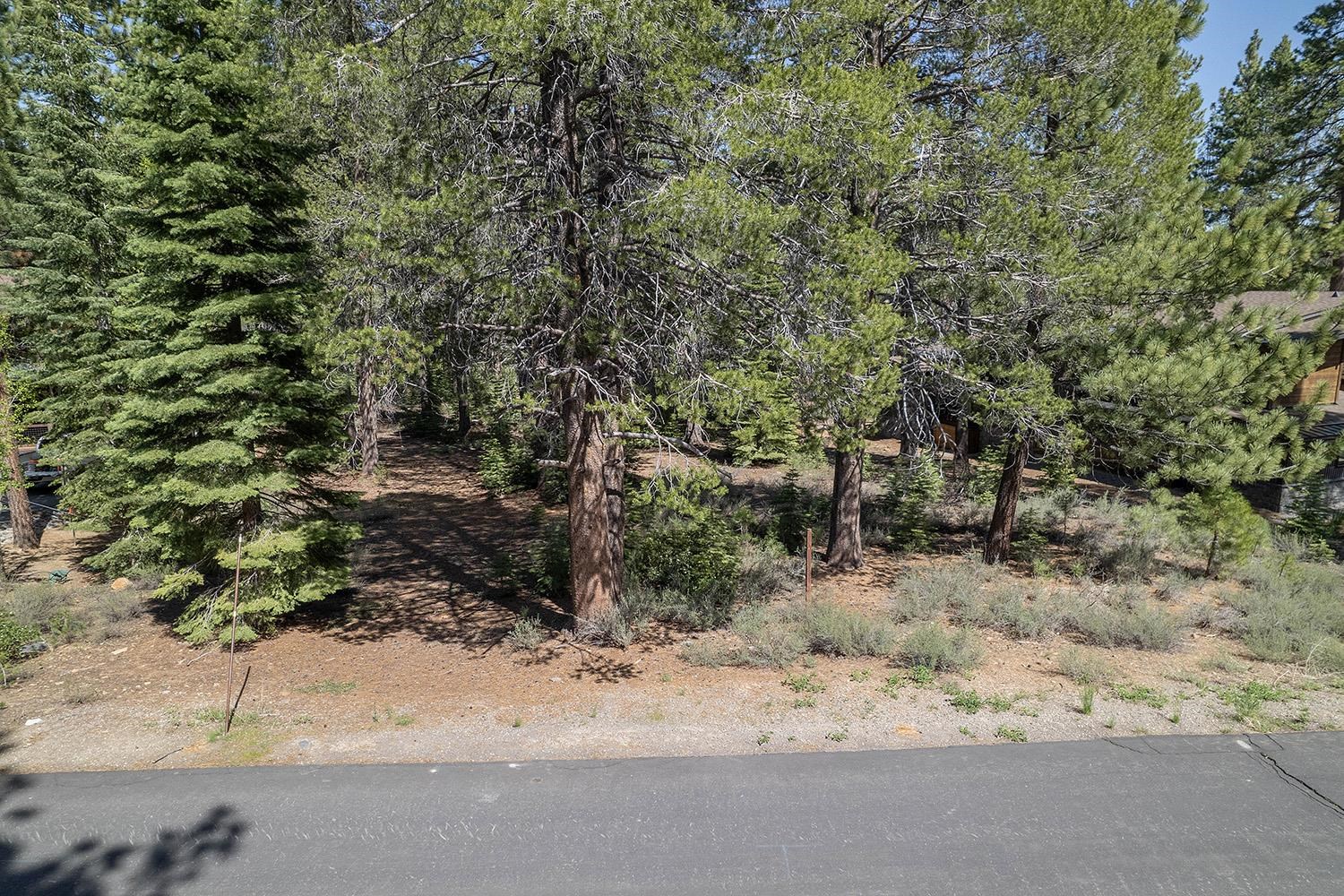 11841 Bottcher Loop Truckee, CA 96161 - Photo 8 of 17 a view of a yard with a tree