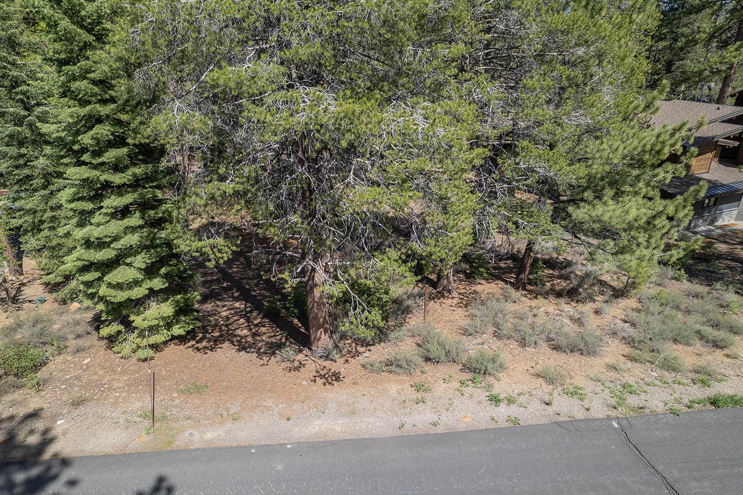 11841 Bottcher Loop Truckee, CA 96161 - Photo 9 of 17 with a view of a yard