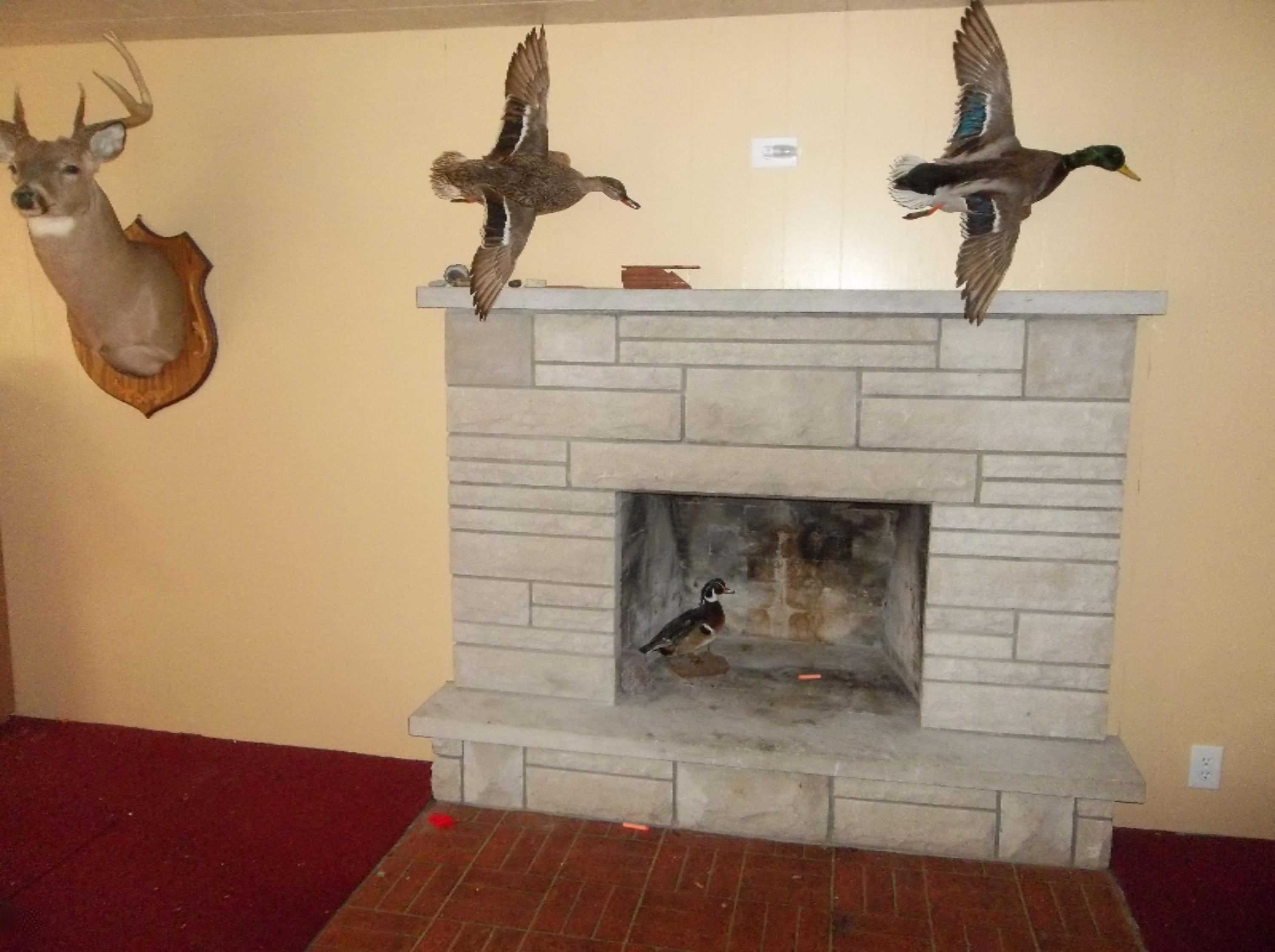 68400 Lutz Road White Pigeon, MI 49099 - Photo 12 of 17 100_1386