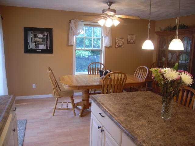116 Lakeview Road South Dahinda, IL 61428 - Photo 4 of 13 Gallery Image 4