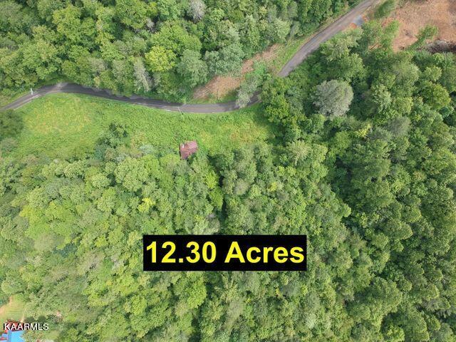 Grassy Branch Road Sevierville, TN 37876 - Photo 1 of 13 20201015183234340577000000-o