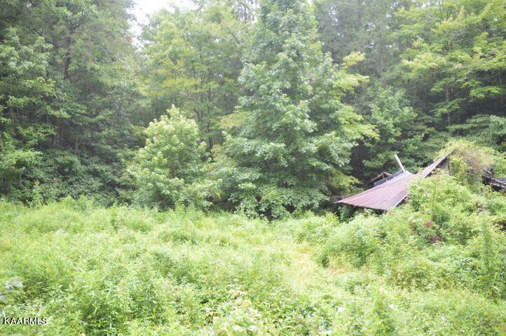 Grassy Branch Road Sevierville, TN 37876 - Photo 2 of 13 20201015183114078743000000-o