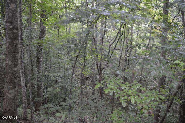 Grassy Branch Road Sevierville, TN 37876 - Photo 11 of 13 20201015183056544421000000-o