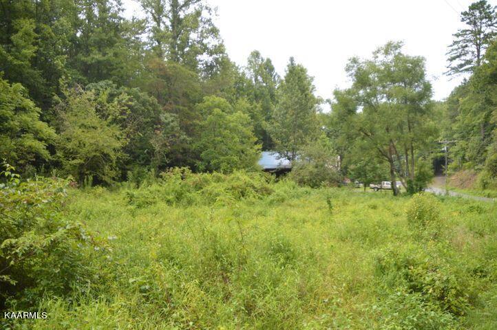 Grassy Branch Road Sevierville, TN 37876 - Photo 4 of 13 20201015182927547932000000-o