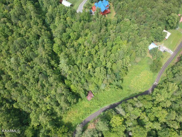 Grassy Branch Road Sevierville, TN 37876 - Photo 5 of 13 20201015182843265521000000-o
