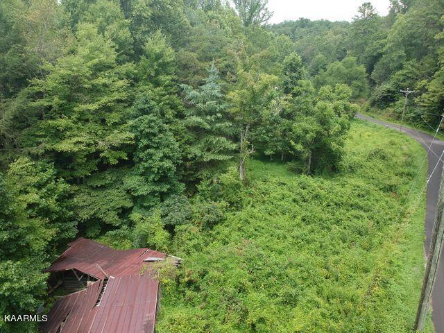 Grassy Branch Road Sevierville, TN 37876 - Photo 6 of 13 20201015182828170306000000-o