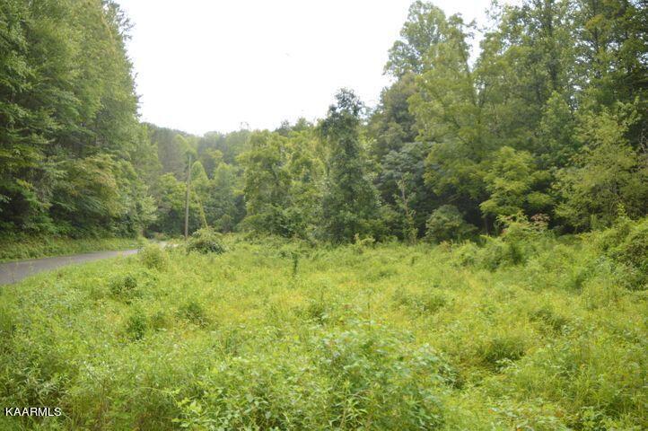 Grassy Branch Road Sevierville, TN 37876 - Photo 7 of 13 20201015182900405396000000-o