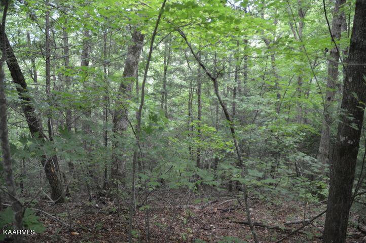 Grassy Branch Road Sevierville, TN 37876 - Photo 9 of 13 20201015183214923214000000-o