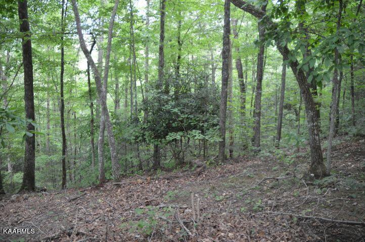 Grassy Branch Road Sevierville, TN 37876 - Photo 10 of 13 20201015183156314182000000-o