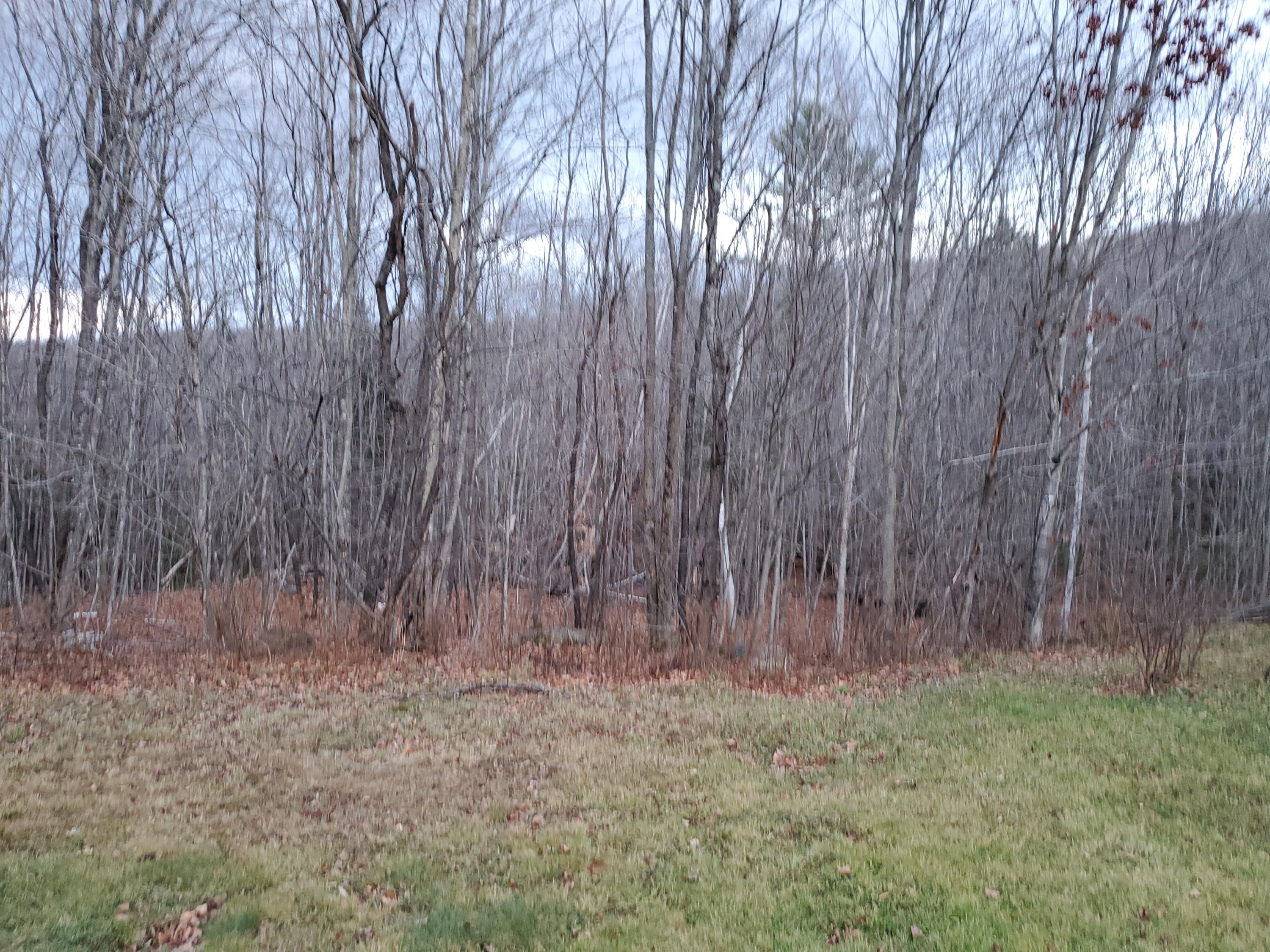 39 Bubier Road Wilton, ME 04294 - Photo 60 of 65 20201116_161120