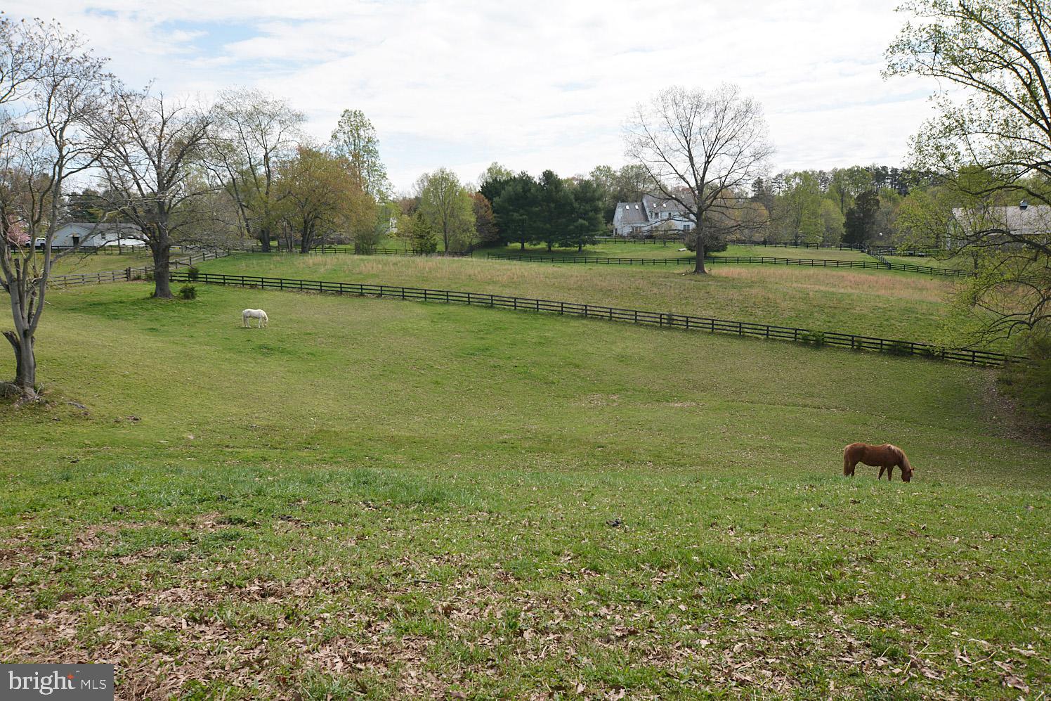 7962 Leeds Manor Road Marshall, VA 20115 - Photo 43 of 48 Gallery Image 43