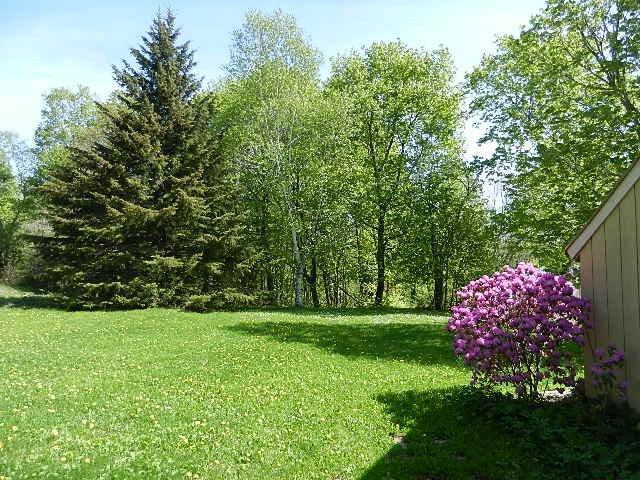 75 Spring Street Gardiner, ME 04345 - Photo 30 of 32 Spacious yard