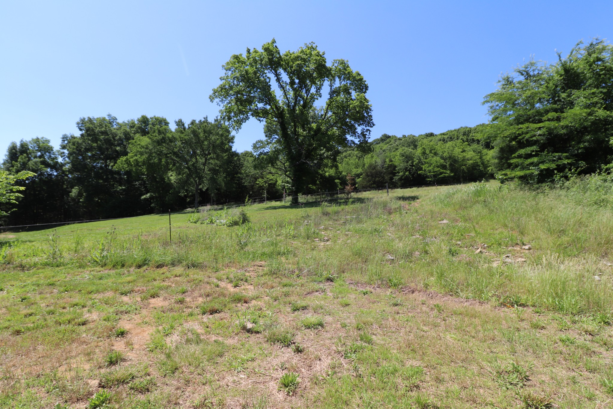 665 Honeysuckle Lane Road Bethpage, TN 37022 - Photo 48 of 58 Gallery Image 48