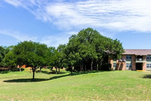 a view of a big yard with palm trees