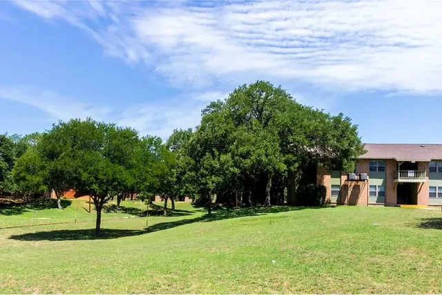 a view of a big yard with palm trees