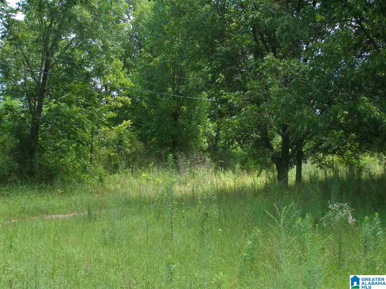 9451 Tingle Cut Off Road, Unit 7 ACRES Dora, AL 35062 - Photo 17 of 27