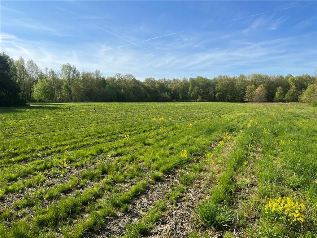0 Yankee Ridge Road Mercer, PA 16137 - Photo 3 of 7 a view of field with trees in the background