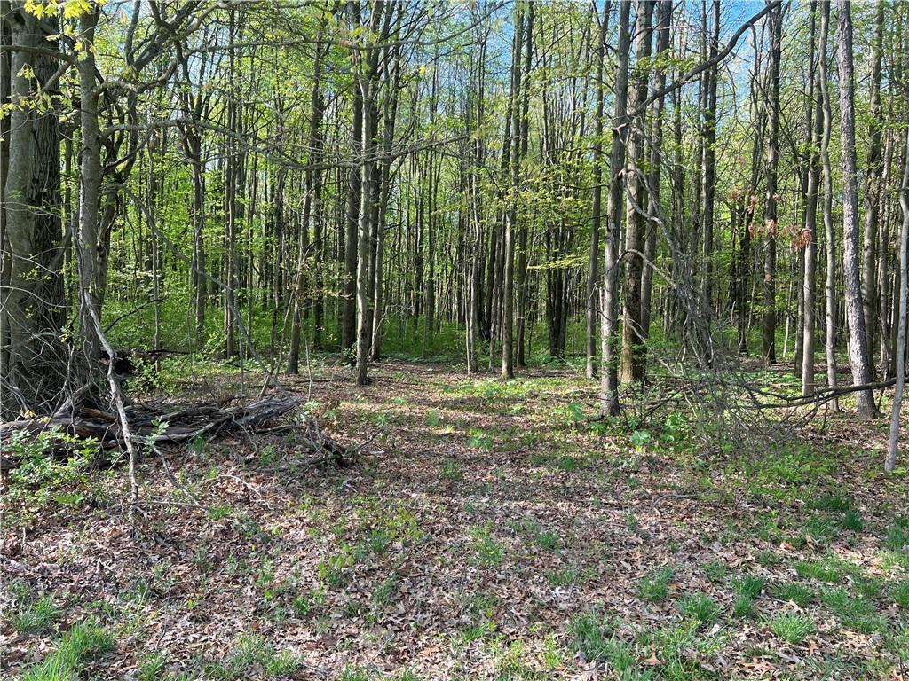 0 Yankee Ridge Road Mercer, PA 16137 - Photo 4 of 7 a view of outdoor space and green space