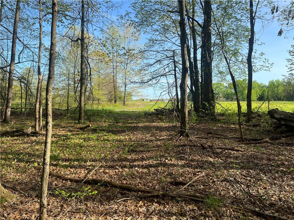 0 Yankee Ridge Road Mercer, PA 16137 - Photo 5 of 7 a view of a garden with a tree