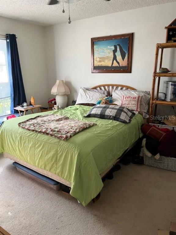 330 Promenade Drive, Unit 206 Dunedin, FL 34698 - Photo 17 of 31 a bedroom with a bed and a painting on the wall