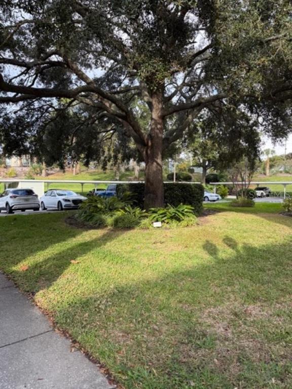 330 Promenade Drive, Unit 206 Dunedin, FL 34698 - Photo 33 of 34