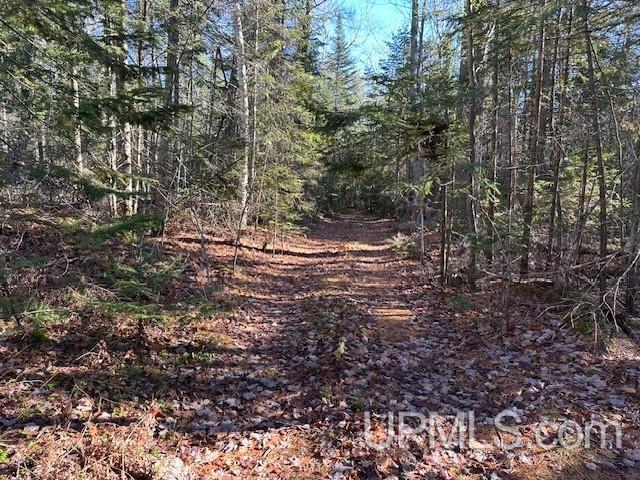 0 North Point Road Au Train, MI 49806 - Photo 12 of 20