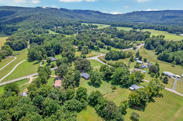 an aerial view of green landscape with trees houses and mountain view