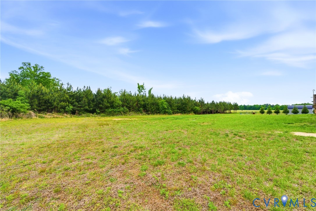 10117 Boisseau Road Sutherland, VA 23885 - Photo 5 of 21