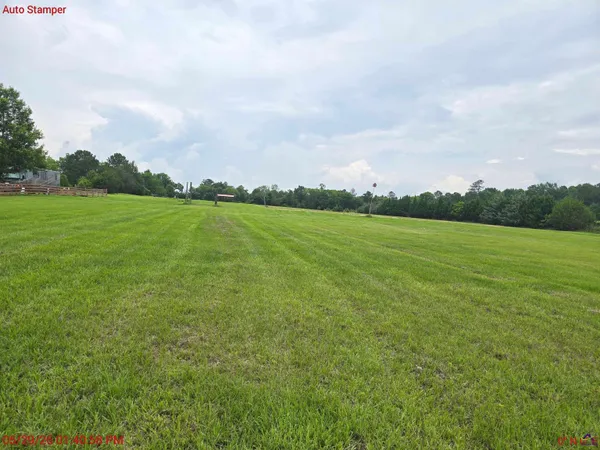 a view of a field with an ocean