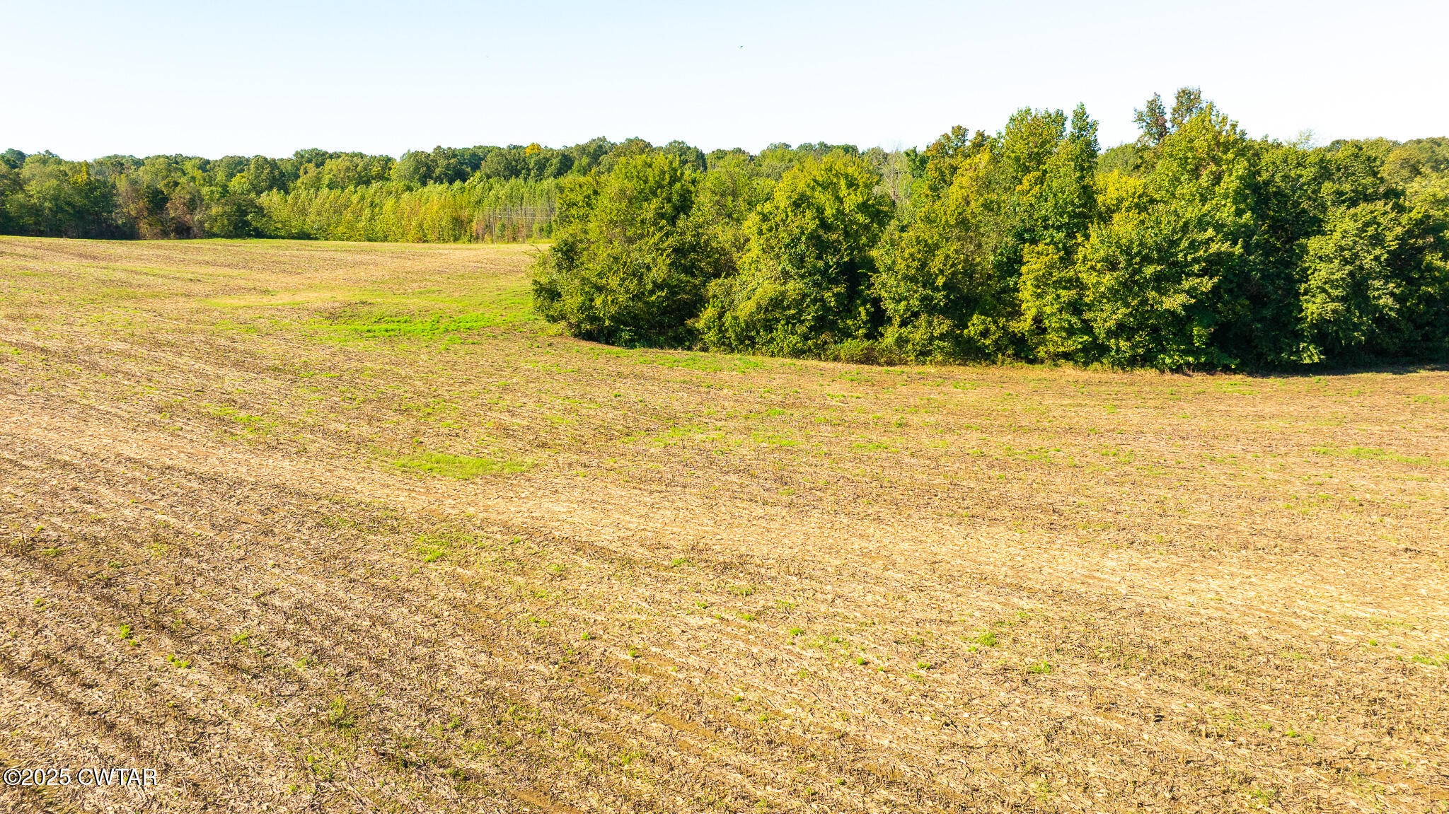 6 Hearn Road Greenfield, TN 38230 - Photo 9 of 17 DJI_20251009101636_0054_D