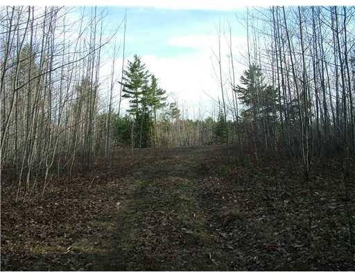 Mr-6-l21 Pyle Road Ellsworth, ME 04605 - Photo 12 of 19 Land/Lot.