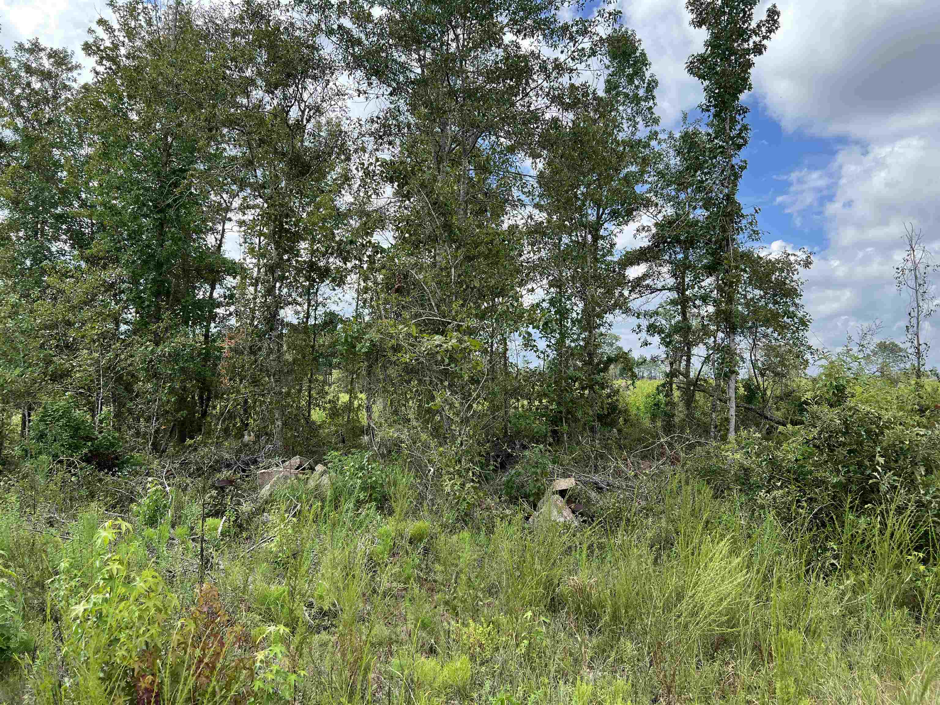 Morton Road Glenwood, GA 30428 - Photo 5 of 8