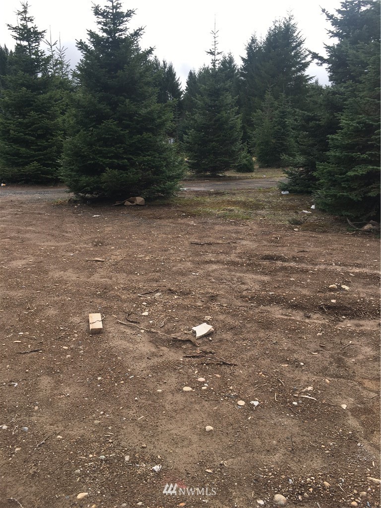 990 Southeast Phillips Road Shelton, WA 98584 - Photo 20 of 24 Gallery Image 20
