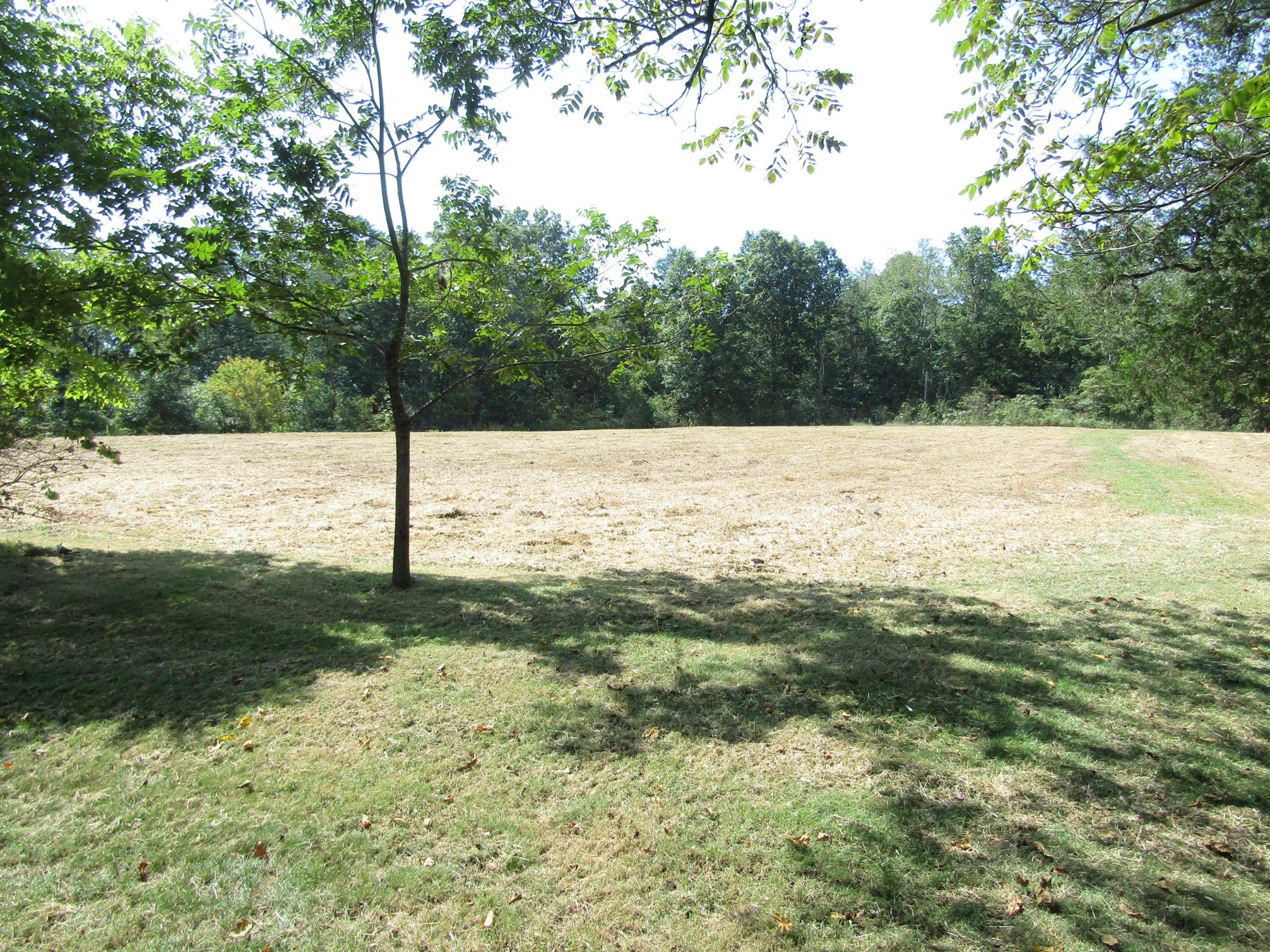 171 Sheep Ranch Road Altamont, TN 37301 - Photo 21 of 48 a view of a road with an outdoor space