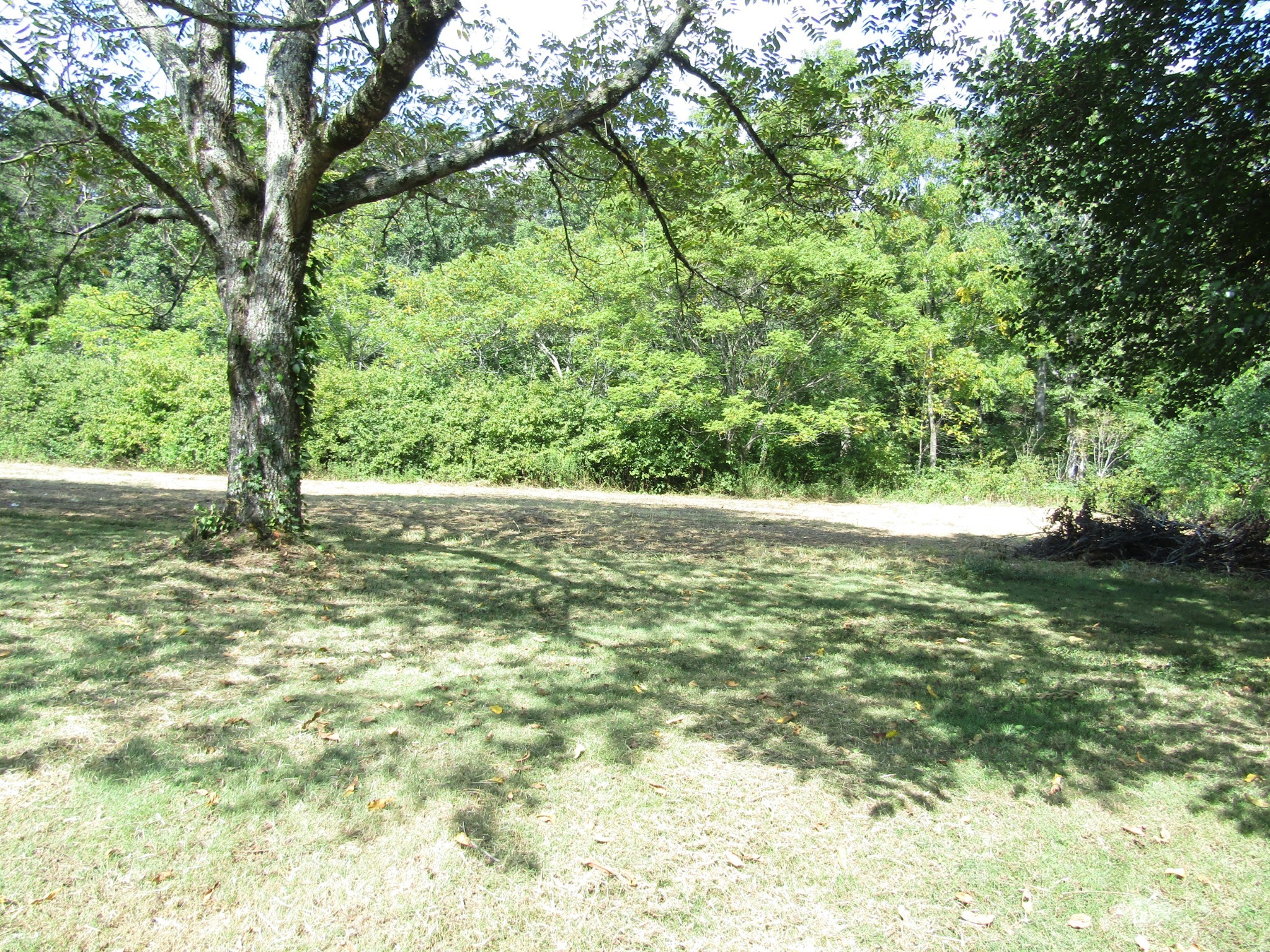 171 Sheep Ranch Road Altamont, TN 37301 - Photo 22 of 48 a view of outdoor space and yard