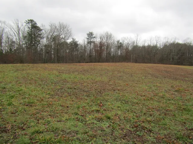 a view of a field with trees in the background