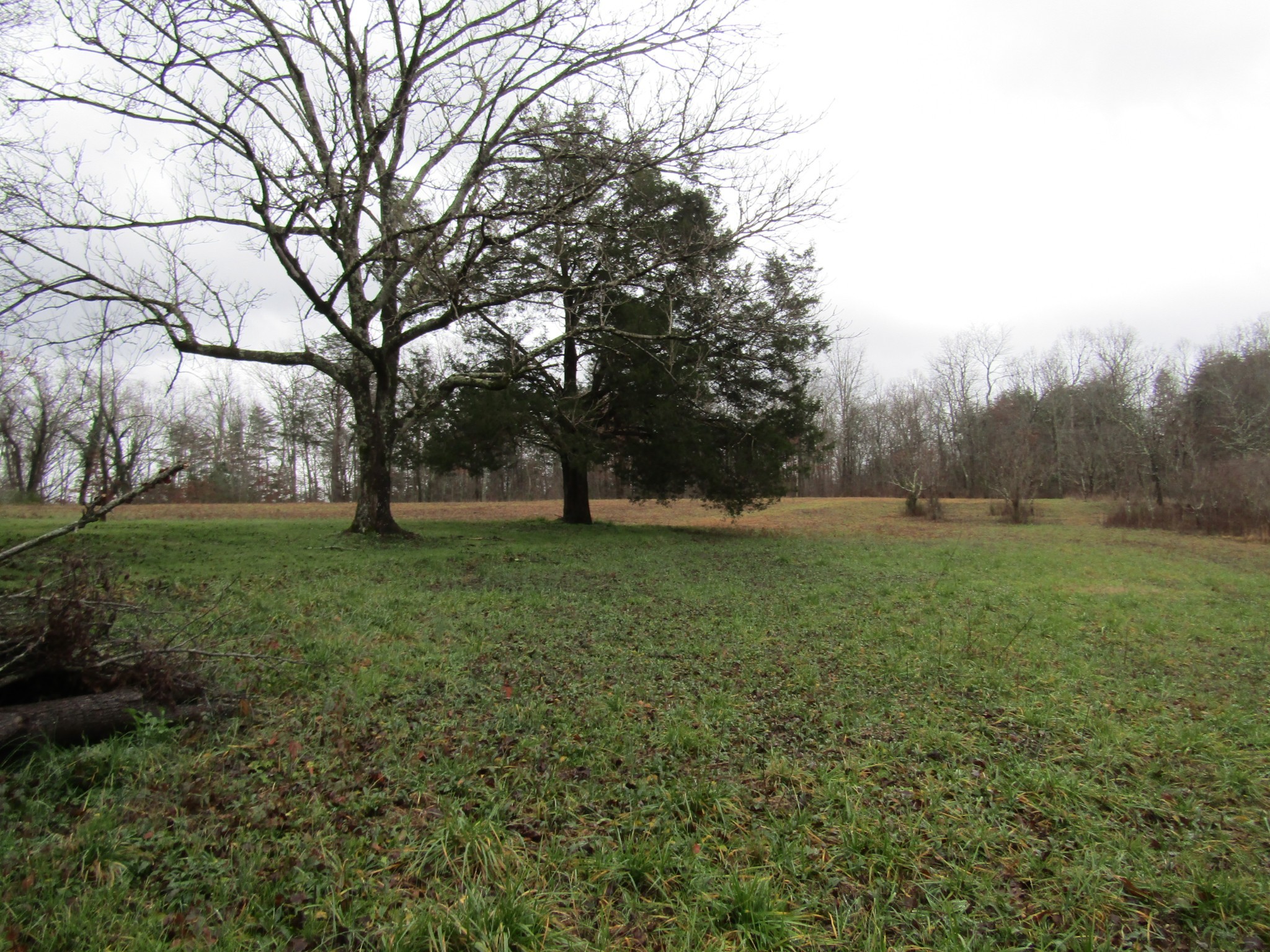 171 Sheep Ranch Road Altamont, TN 37301 - Photo 46 of 48 a view of outdoor space with deck and yard