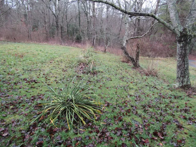 a view of house with outdoor space