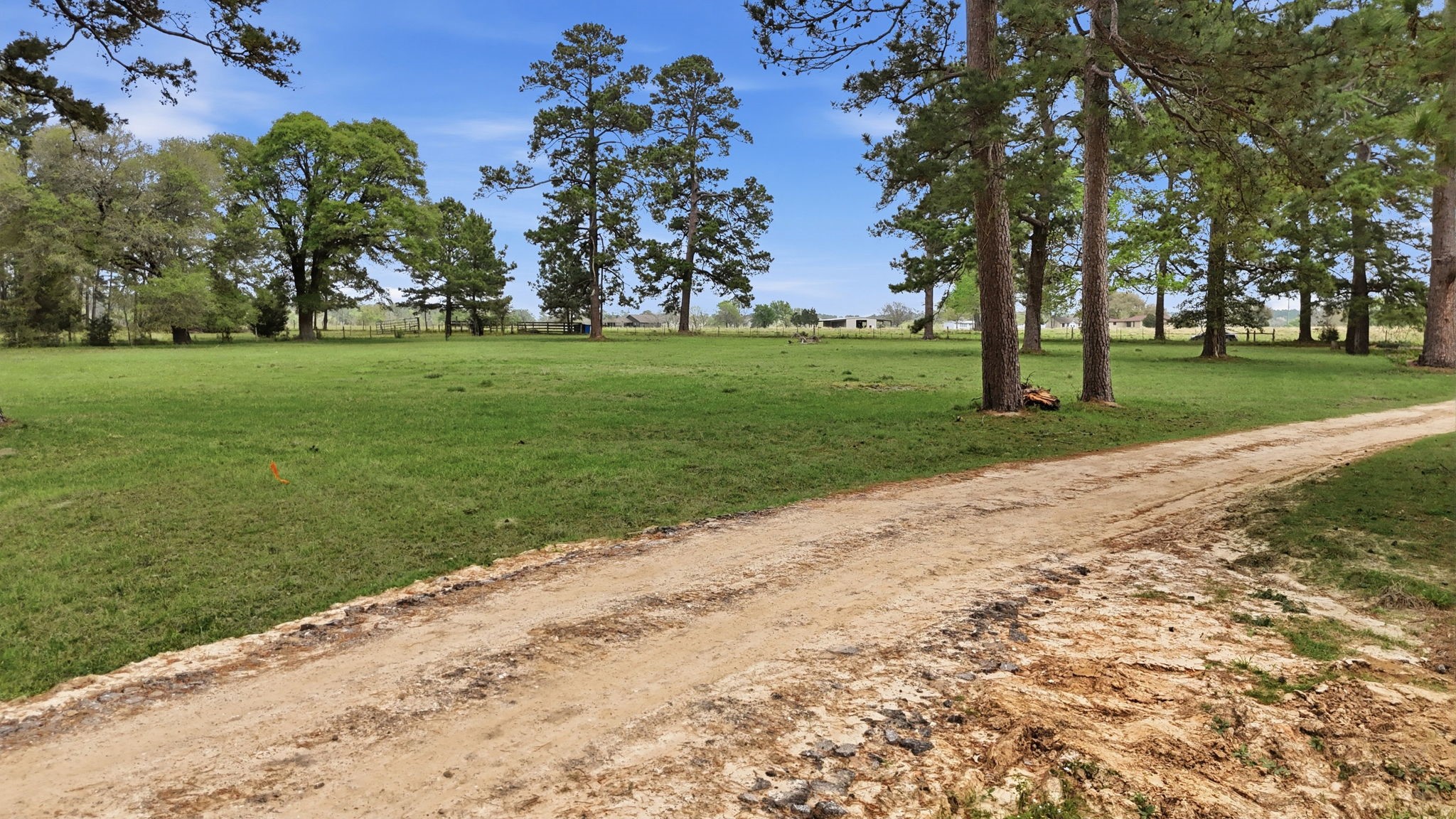 882 Four Notch Road Huntsville, TX 77340 - Photo 4 of 41 Gallery Image 4