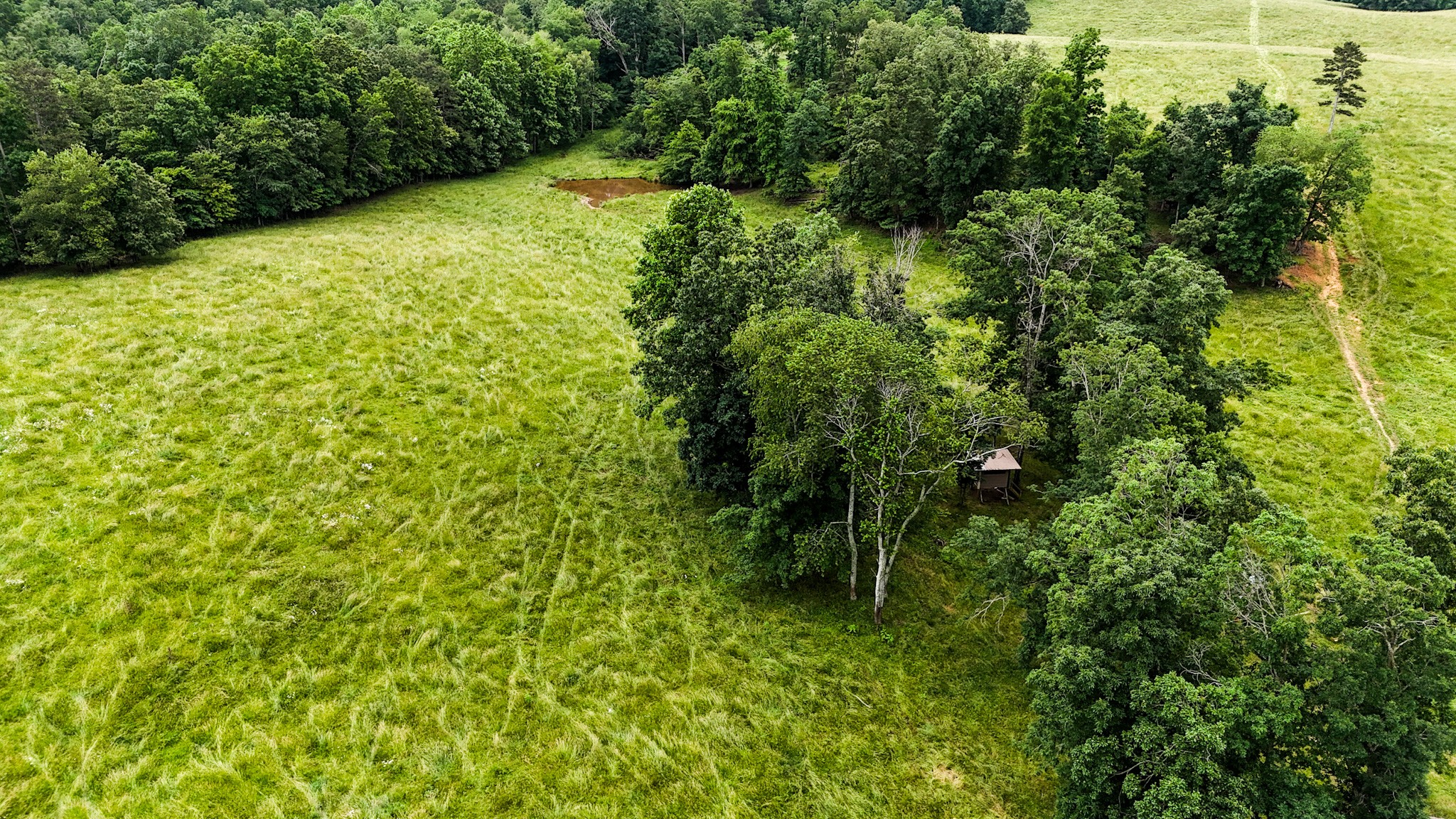 1198 David Patterson Road Lutts, TN 38471 - Photo 65 of 82 a view of a garden