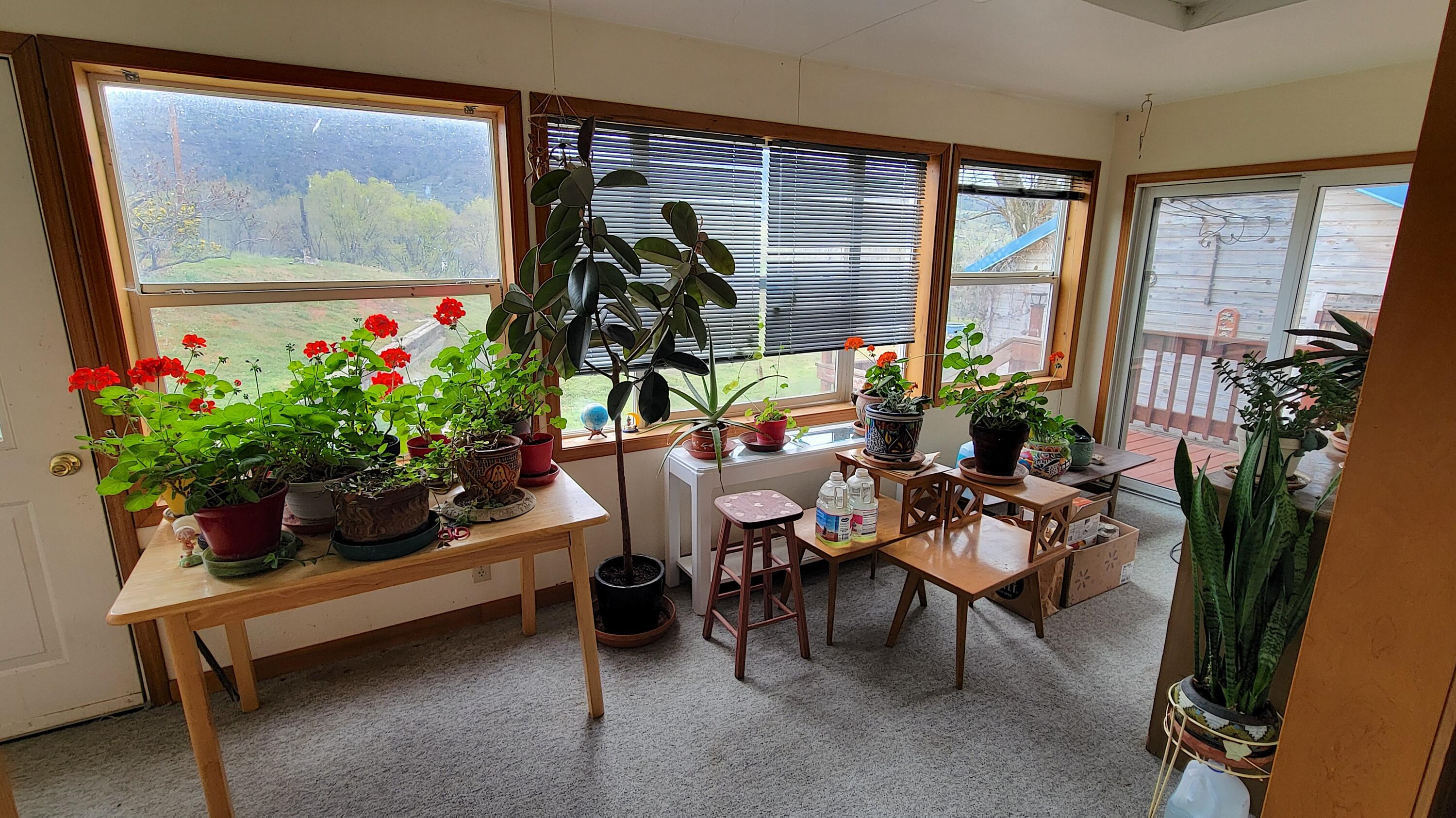 298 Main Street Monument, OR 97864 - Photo 26 of 66 a room with furniture and a potted plant