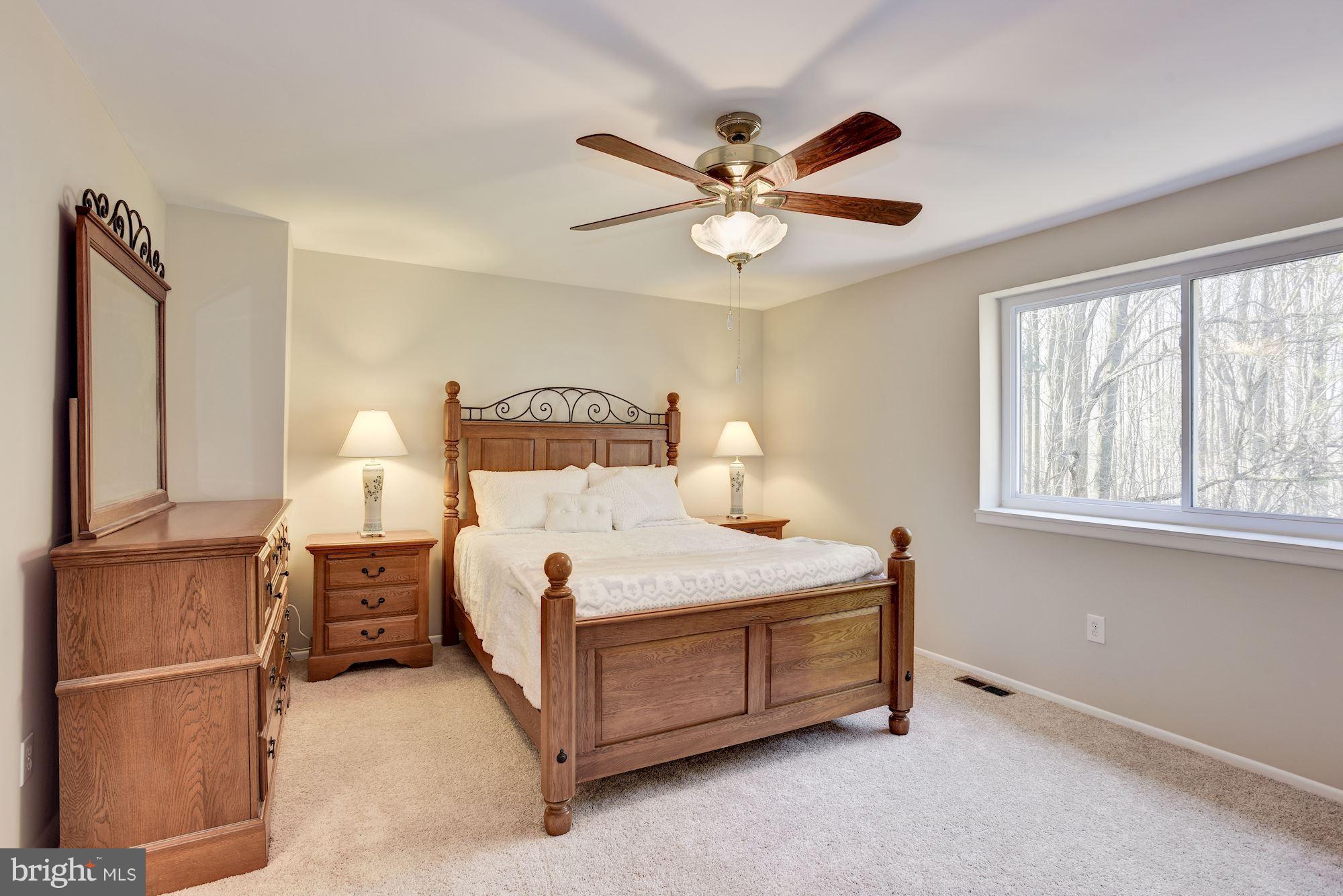 9729 Early Spring Way Columbia, MD 21046 - Photo 13 of 29 Master Suite